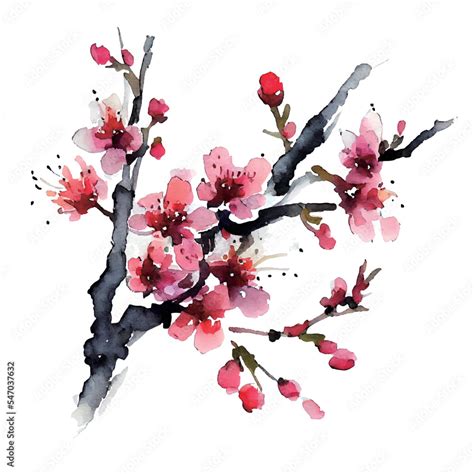 イラスト素材梅の花の和風水彩イラスト（年賀状素材） Stock Vector Adobe Stock