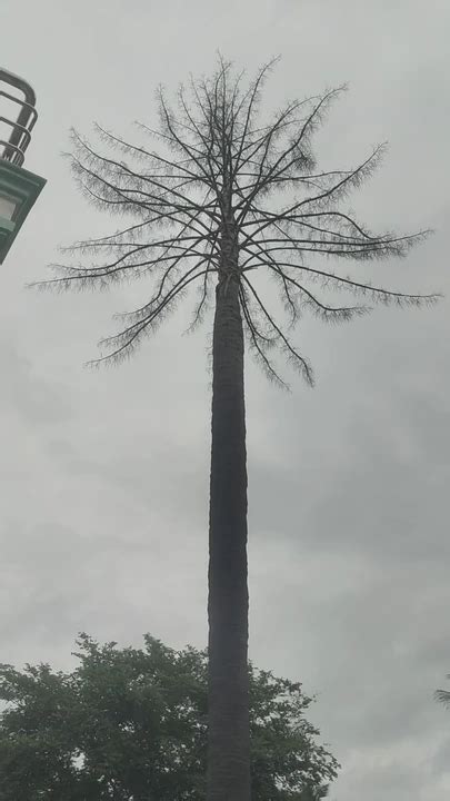 Tamil Sex Gay Black Black Porn Feat India Massage Xhamster