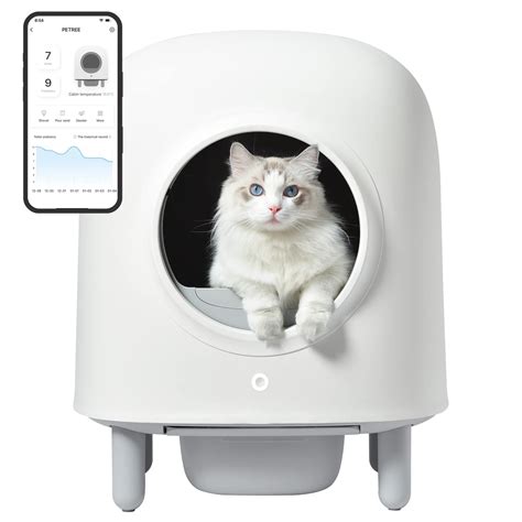 Buy Petree 100% Safe Self Cleaning Cat Litter Box - The Game Changer ...