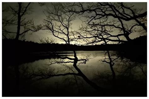 tips setting kamera  iphone  hasil foto  video lebih