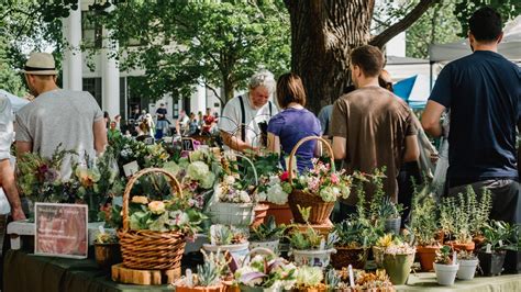 Why Shop At Farmers Markets 4 Perks