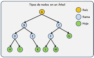 Teor A De Grafos Rboles Estructura De Un Rbol