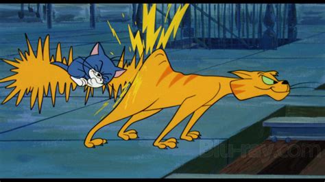 Gay Purr Ee Blu Ray Warner Archive Collection