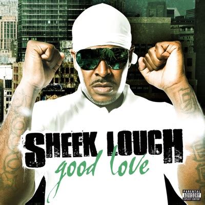 Kiss Your Ass Goodbye Remix Sheek Louch Shazam