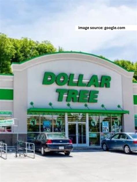 11 Grocery Items You Should Buy At Dollar Tree StatAnalytica