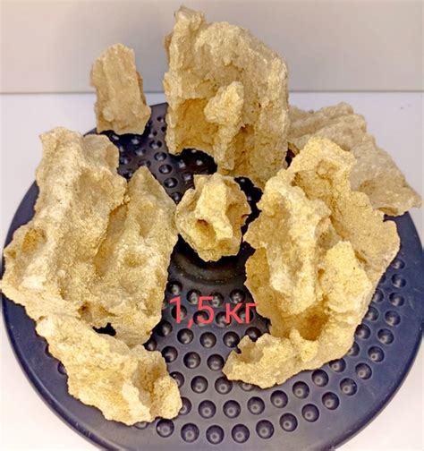 Камень для аквариума Ракушечник - купить с доставкой по выгодным ценам ...