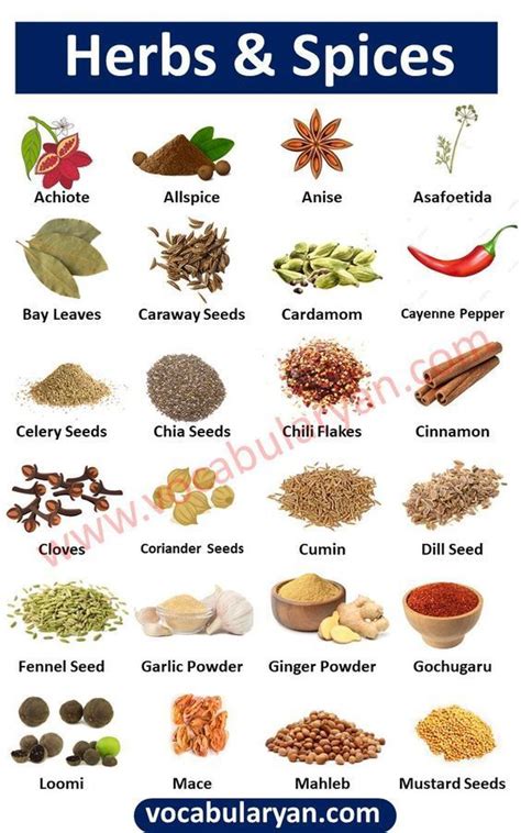 Herbs And Spices Chart Herbs List Spice Vocabulary List Of Common