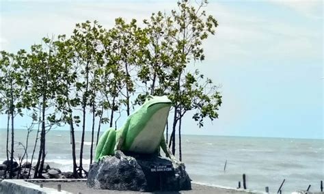 Pantai Katak Pulau Tegal Atraksi Aktivitas Liburan Lokasi Harga