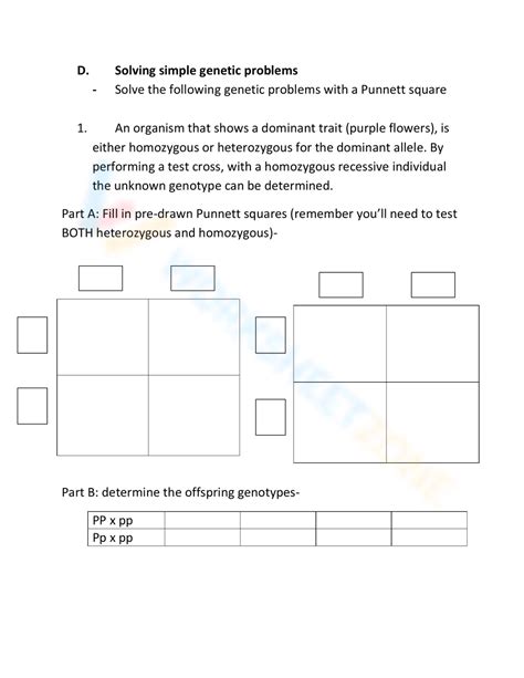 Free Printable Genetics Vocabulary Worksheets For Teaching