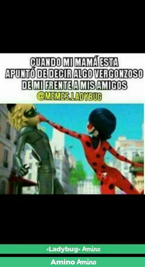 Pin De Valentina Rittiner En Miraculos Ladybug Memes De Ladybug