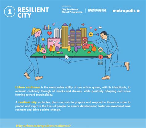 Resilient City Infographic