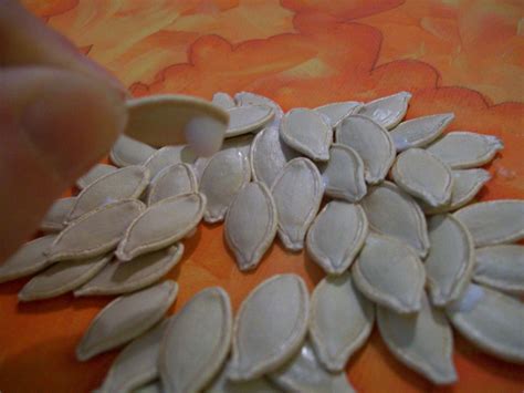 Поделки из тыквенных семечек своими руками - фото и картинки: 68 штук