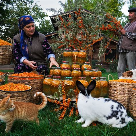 The Hidden Millions Of Azerbaijan: A Country Life Vlogger's Dream Come True