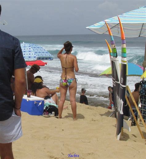 Beach Festival Beach Bikini Forum