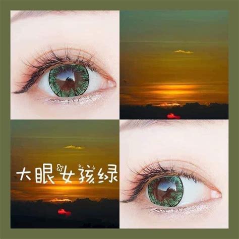 Bear Lens C P K Nh P Tr Ng M U Tommy M T M O C C Hot Shopee Vi T Nam