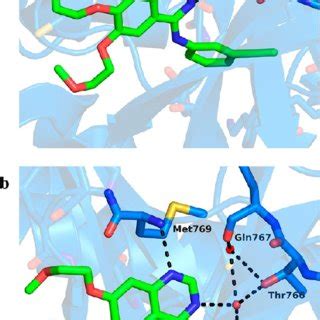 Structure Of Braf In Complex With Pdb Id Uwh Key H Bond