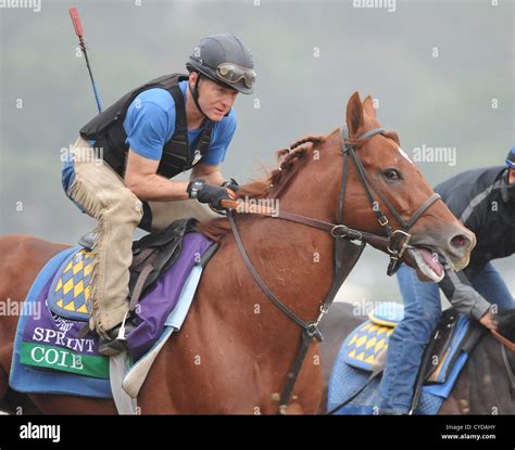 Nov 1 2012 Arcadia California Us Coil Trained By Bob Baffert