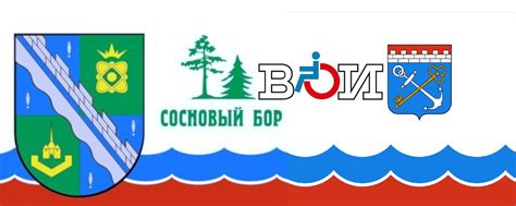 Сосновоборская организация ЛОО ООО "ВОИ" 2025 | ВКонтакте