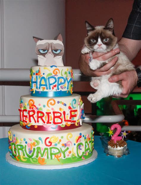 Grumpy Cat Birthday Pictures