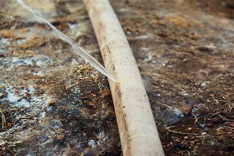 Kobalt - Bilder und Stockfotos - iStock