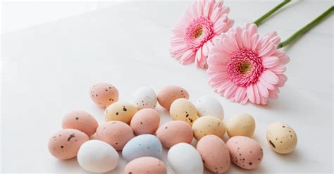 Foto gratuita di Buona Pasqua, fiori rosa, natura morta