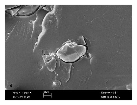 SEM image. (a) PMMA-L-1; (b) PMMA-L-2; (c) PMMA-L-3. | Download ...
