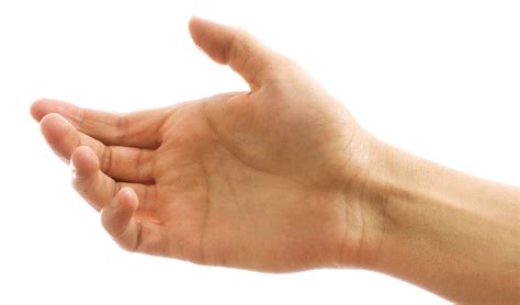 Hands PNG, Hands Transparent Background - FreeIconsPNG