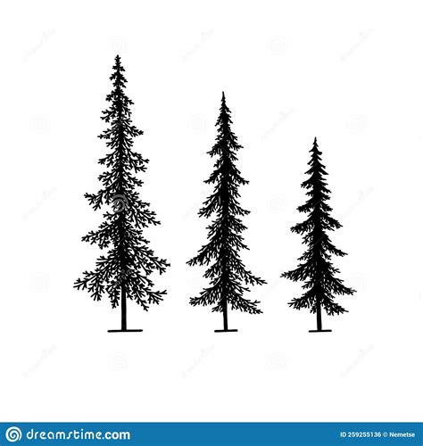 White Spruce Silhouette