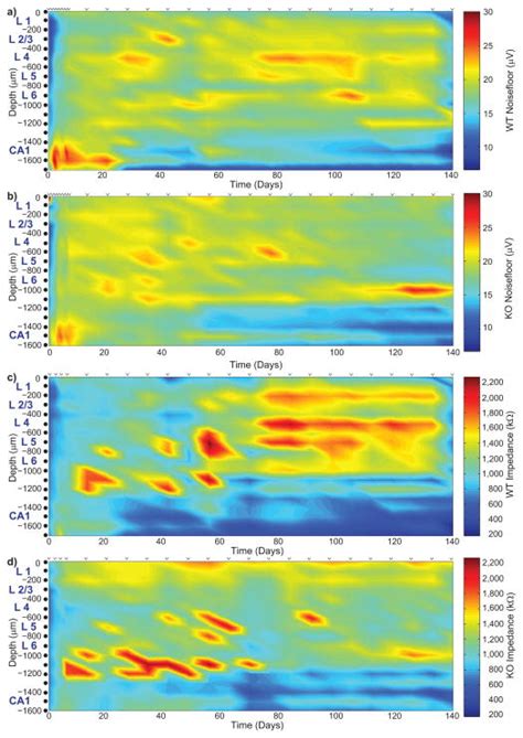 Effects Of Caspase Knockout On Chronic Neural Recording Quality And