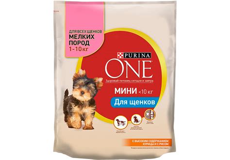 Purina one (пурина ван): обзор корма для кошек, состав, отзывы