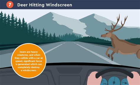 Top 10 Reasons Windscreens Crack & Chip | The Windscreen Company