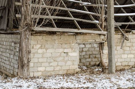 Naked Field In Winter Season Stock Photo Image Of Blue Outdoor