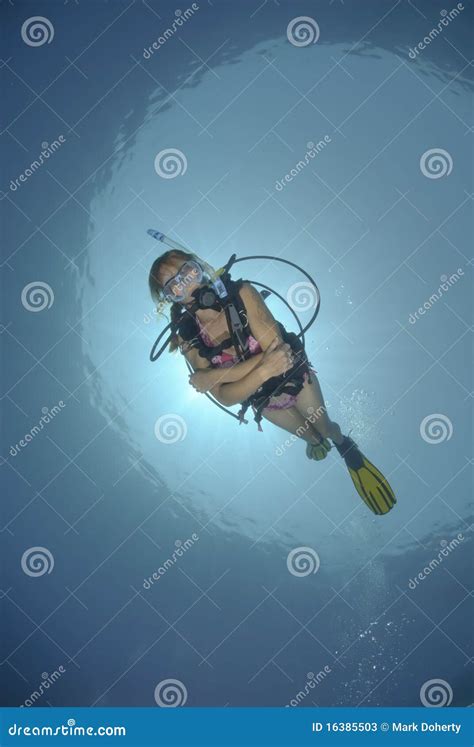 Adult Female Scuba Diver In Bikini Stock Photos Image