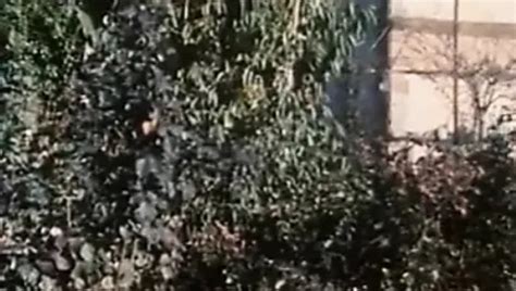 Free Blue Porn Videos Xhamster