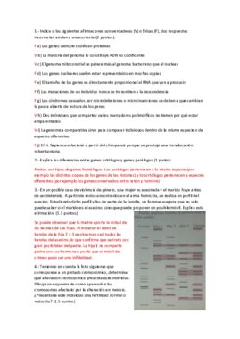 Examen Er Parcial Soluciones Pdf