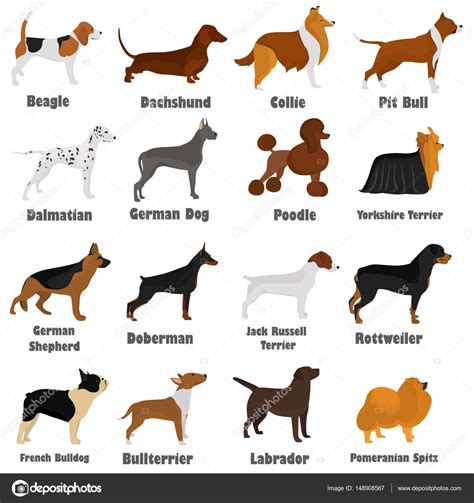 Lista Foto Im Genes De Diferentes Razas De Perros Cena Hermosa