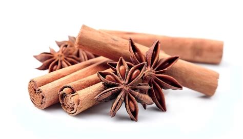 Premium Photo Anise And Cinnamon