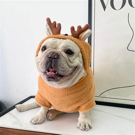 Dog Reindeer Hoodie Costume – Frenchiely