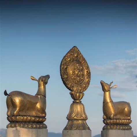 FPMT Education Courses and Programs - FPMT