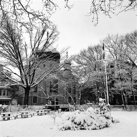 Vacation Homes in Williamsburg, New York: House Rentals & More | Vrbo