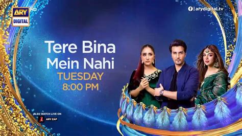 Tere Bina Mein Nahi Episode Promo Sonya Hussain Shehzad Sheikh Aiza