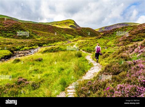 Sentiero Di Loch Skeen Immagini E Fotografie Stock Ad Alta Risoluzione