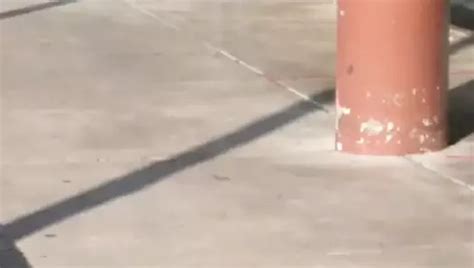 Free Mexican Women Porn Videos XHamster