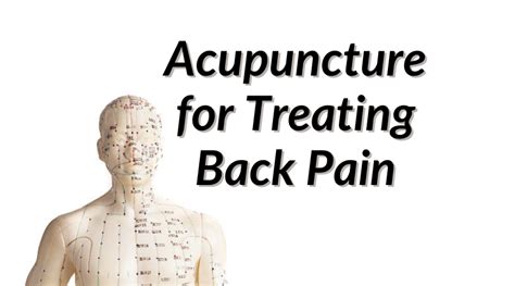 Acupuncture For Back Pain Jersey Community Acupuncture In Flemington NJ