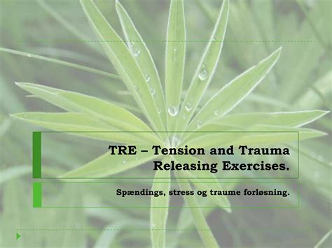 Tre Tension And Trauma Releasing Exercises Ppt