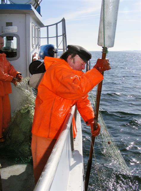 End of Fish Day 2024: Fisch aus Nord- und Ostsee bald eine Seltenheit
