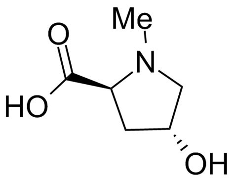 N Methyl Trans 4 Hydroxy L Proline Dextra UK