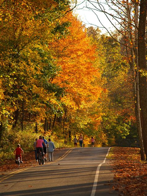 Lake Alma State Park Vinton County Cvb