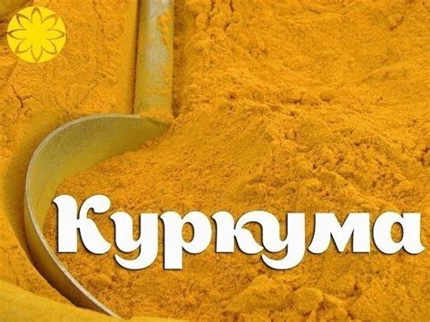 КУРКУМА — МОЩНЕЙШЕЕ СРЕДСТВО ДЛЯ ОМОЛОЖЕНИЯ
