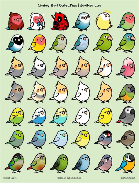 Cute cartoon pet birds illustration set cockatiel parakeet canary ...